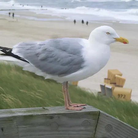 Haus Seehuette 303 Cuxhaven